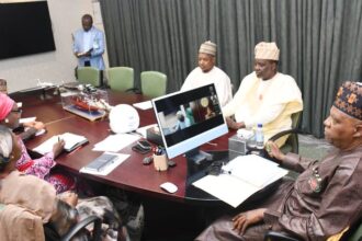 NEC sets up committee to fast-track livestock reforms