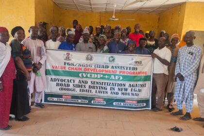 Niger farmers urged to abandon roadside crop drying amid health risks