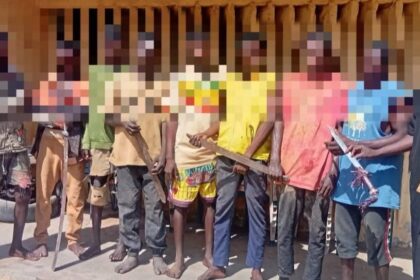 Niger police arrests suspected peddlers, others for thuggery 