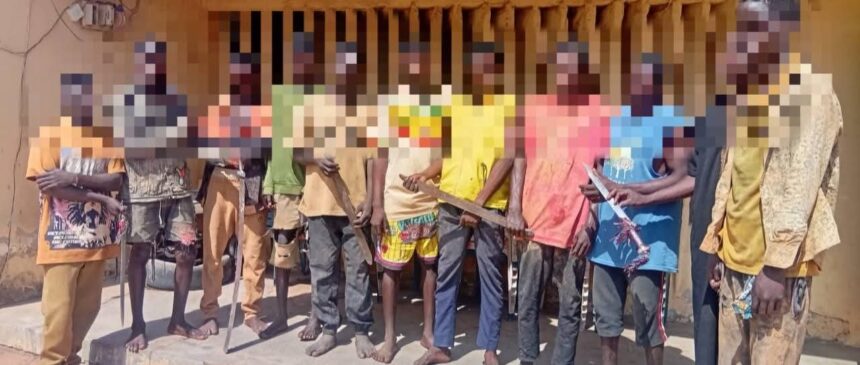 Niger police arrests suspected peddlers, others for thuggery 