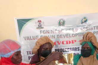 Niger VCDP processors pledge quality boost in rice, cassava products