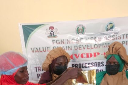 Niger VCDP processors pledge quality boost in rice, cassava products