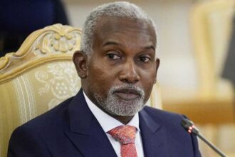 Nigerian soldiers still in Burkina Faso after forced aircraft landing – Foreign Affairs Minister