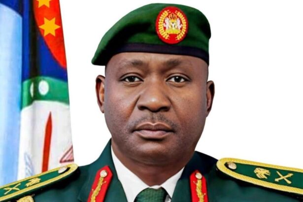 Nigeria’s defence minister resigns as Tinubu moves to appoint ex-army chief