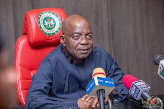 Nnamdi Kanu: Tinubu not law court – Buhari’s ex-aide tackles Otti over Aso Rock visit