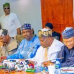 Northern governors suspend mining, back state police