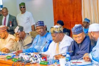Northern governors suspend mining, back state police