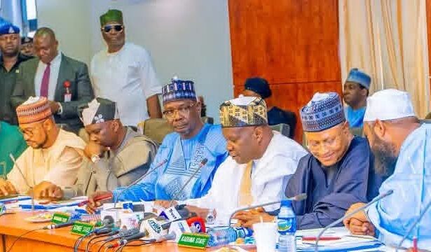Northern governors suspend mining, back state police