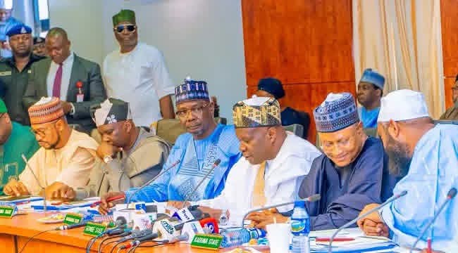 Northern governors suspend mining, back state police