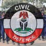 NSCDC lacks capacity for VIP protection — Ex-DSS Director