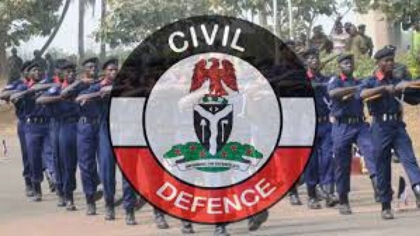 NSCDC lacks capacity for VIP protection — Ex-DSS Director