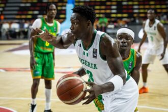 Nwamu: Why D’Tigers’ stumbled in 2027 WCQ