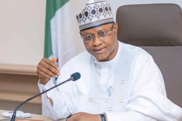 Our diversity is our strength – Uba Sani