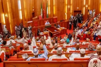 ‘Our lives in danger’ – Senators protest withdrawal of police orderlies from VIPs