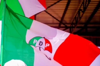 PDP pulls out of Borno LG polls