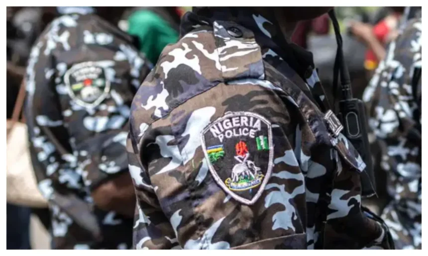 Police rescue 2 boys, arrest 3 suspects in Borno kidnapping