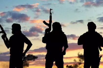 Presidency questions NGO’s christmas attack alert by gunmen as DSS confirms preventive measures