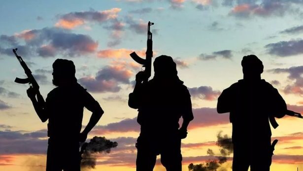 Presidency questions NGO’s christmas attack alert by gunmen as DSS confirms preventive measures