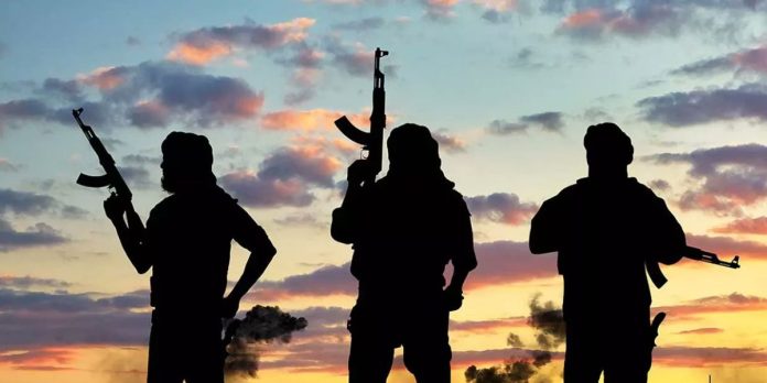 Presidency questions NGO’s christmas attack alert by gunmen as DSS confirms preventive measures