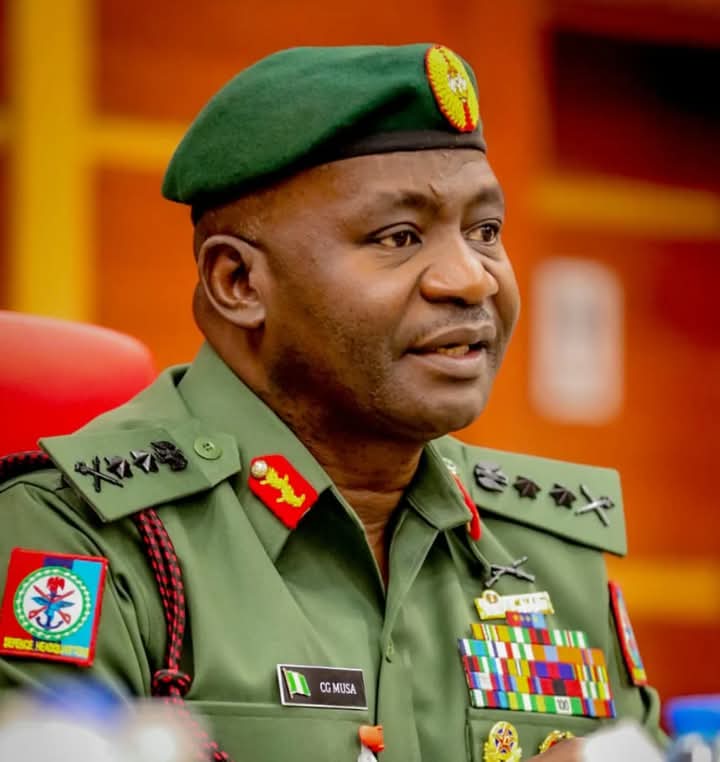 Senate begins Musa’s screening as defence minister