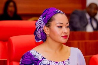 Senator Natasha’s ‘media offensive’ threatening integrity of Nigeria’s institutions – WDA