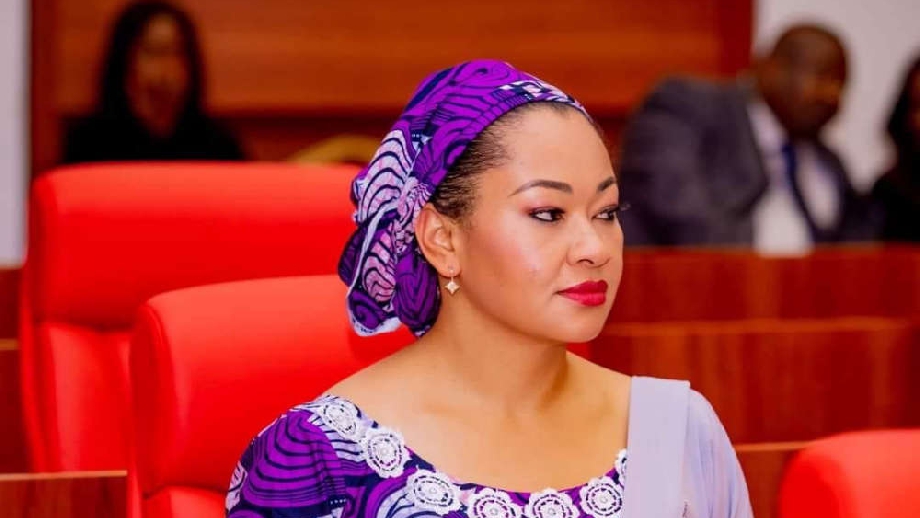Senator Natasha’s ‘media offensive’ threatening integrity of Nigeria’s institutions – WDA