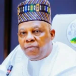 ‎Shettima reaffirms strong Nigeria–Niger ties