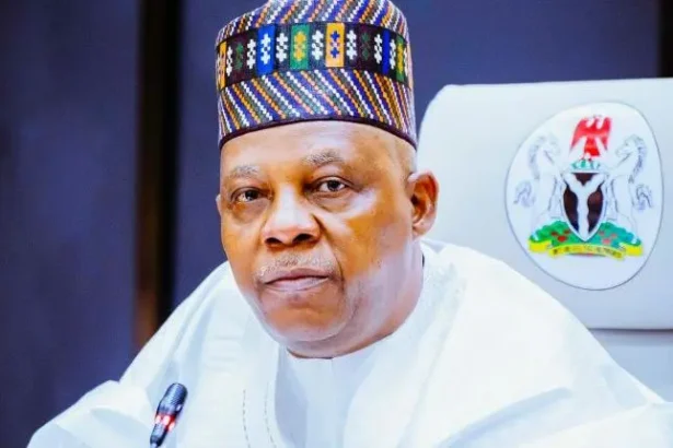 ‎Shettima reaffirms strong Nigeria–Niger ties