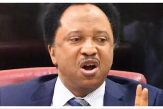 ‘Stay back, build your country’ – Shehu Sani on US new visa ban