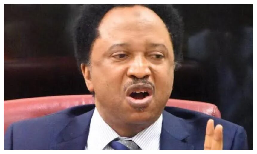 ‘Stay back, build your country’ – Shehu Sani on US new visa ban