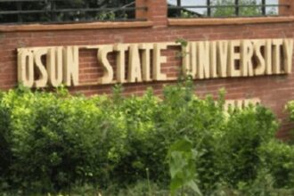 Steer clear of cultism, vices – UNIOSUN VC to matriculating students