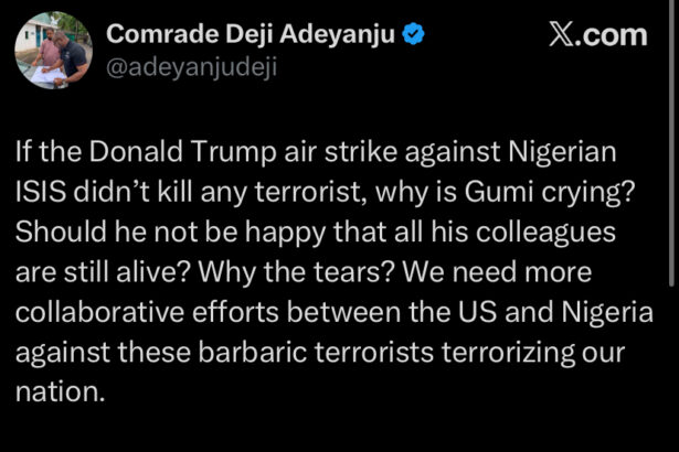 Terrorism: Stop crying, Nigeria needs to partner with US – Adeyanju to Sheikh Gumi