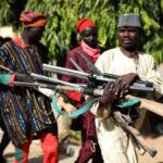 Terrorists raid Niger village on foot, kidnap dozens of farmer