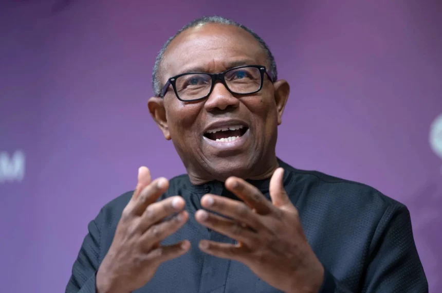 ‘They’re also members of society’ – Peter Obi advocates education for inmates