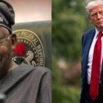 Tinubu reportedly ‘signaled’ Trump before alleged attack on terrorists