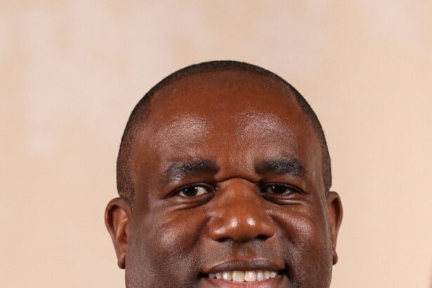 Twelve more prisoners freed in error, two still at large – Lammy