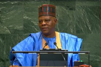 VP Shettima unveils plans to cut Nigerian Port cargo dwell time