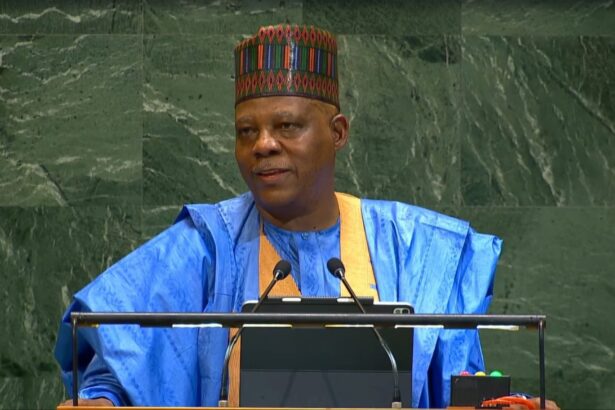 VP Shettima unveils plans to cut Nigerian Port cargo dwell time
