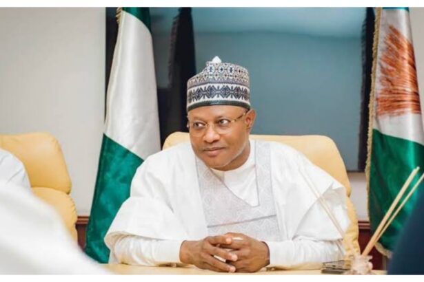 We will immortalise Sheikh Dahiru Bauchi – Uba Sani