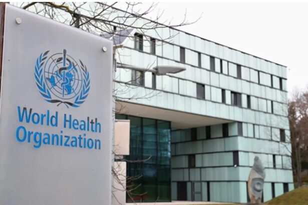 WHO sounds alarm over fast-spreading flu strain in Europe