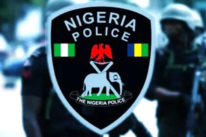 Police recover rifles from armed couriers in Niger