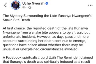 Snake reportedly found under ambulance carrying Nanyah’s remains back home