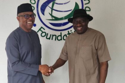2027: Why we visited Jonathan – Peter Obi