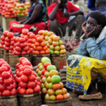 20m People In Sub-Saharan Africa Risk Food Crisis As Prices Surge — IMF