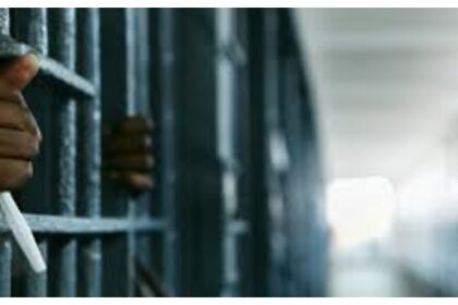 Borno High Court jails woman over trafficking
