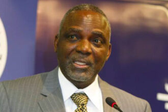 FG Has Not Financed Major Power Plant Since 2015 – Nnaji