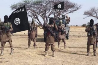 ISWAP terrorists execute Nigerian police officer, two CJTF members
