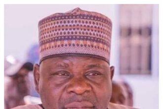 Madagali emerges Adamawa APC chairman