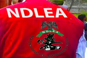 NDLEA Intercepts Cocaine Stocked In Food Flasks, Snacks At MMIA