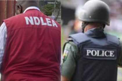 NDLEA, police partner to fight drug abuse, trafficking in Ogun